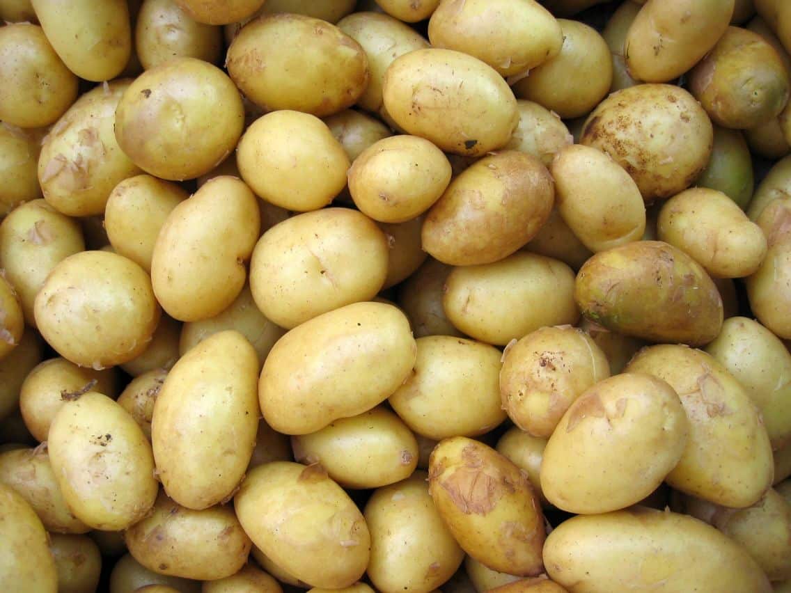 mejores patatas bravas donostia san sebastian